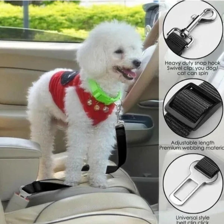 Small white dog standing on a car seat secured by the black nylon dog seat belt tether