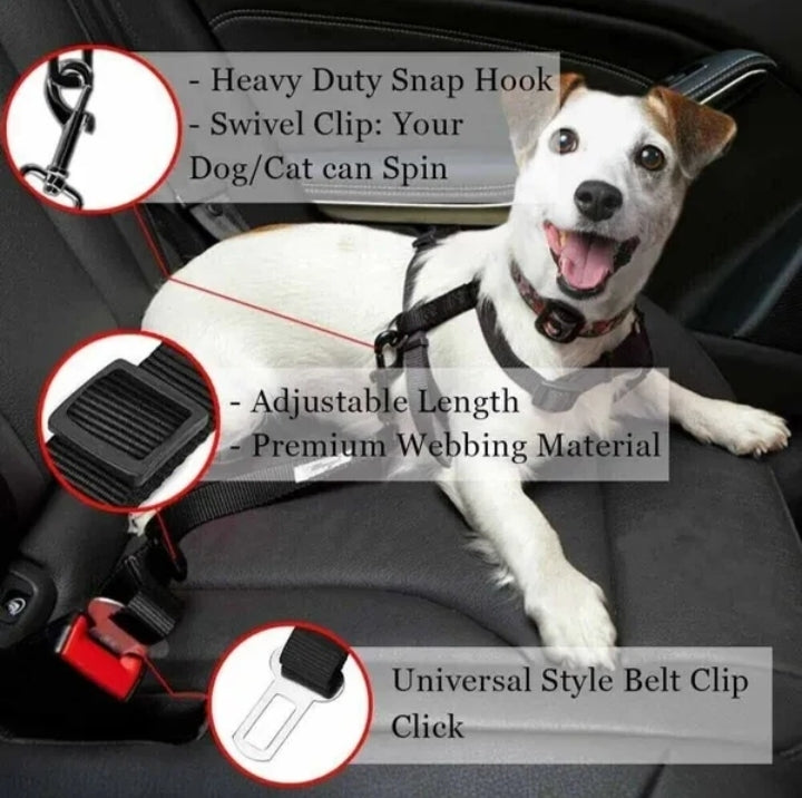 Terrier on a back seat wearing a harness clipped to the tether, with snap hook and belt clip callouts