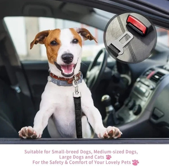 Jack Russell terrier in a car wearing the black dog seat belt tether, with a close-up of the buckle clip