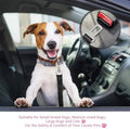 Jack Russell terrier in a car wearing the black dog seat belt tether, with a close-up of the buckle clip