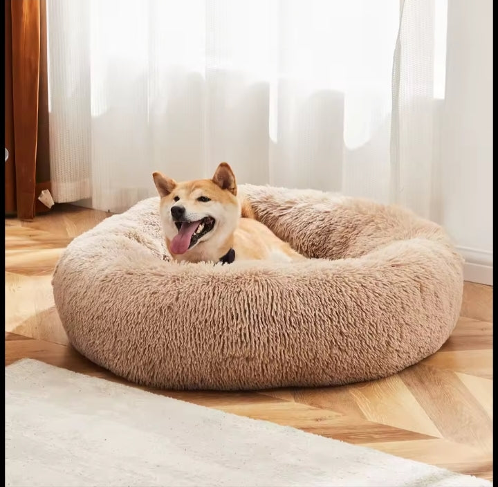 Shiba Inu lounging in the tan plush calming donut dog bed by a sunny window