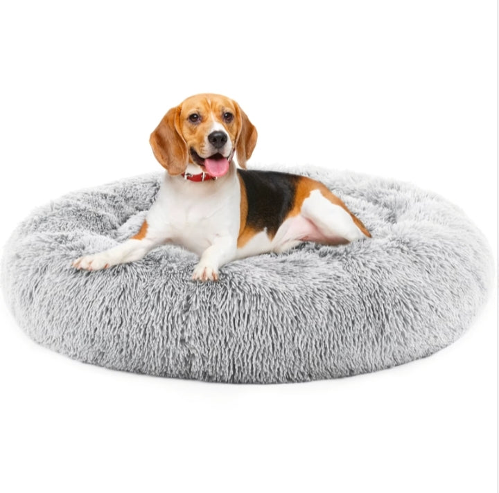 Beagle lying on the light gray plush calming donut dog bed