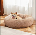 Plush calming donut dog bed with a raised rim and a soft faux-fur cover